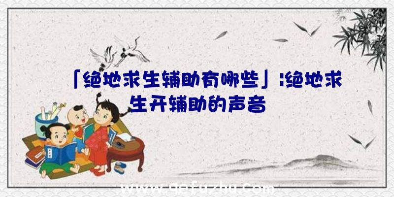 「绝地求生辅助有哪些」|绝地求生开辅助的声音